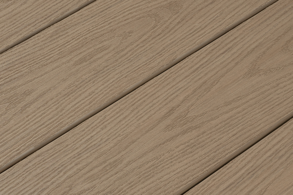 T22.002 Seaside Birch.jpg